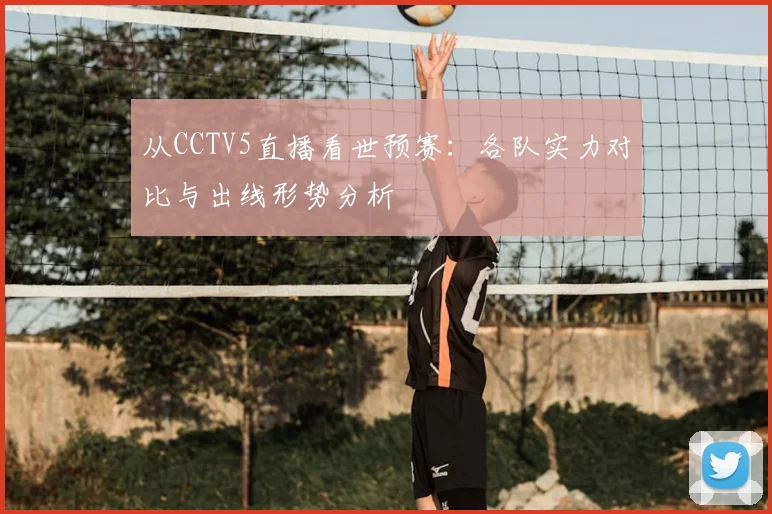 从CCTV5直播看世预赛:各队实力对比与出线形势分析