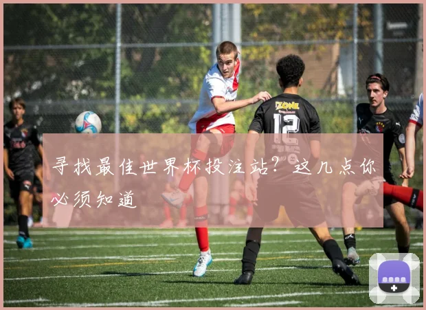 寻找最佳世界杯投注站？这几点你必须知道
